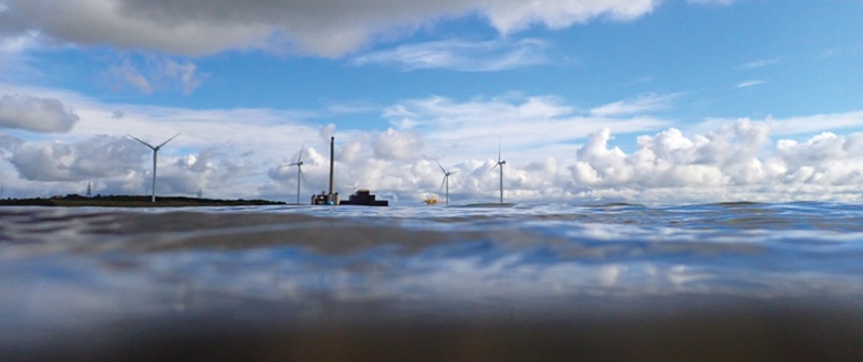 ‘FLOW’ Exhibition Comes Ashore in Clare