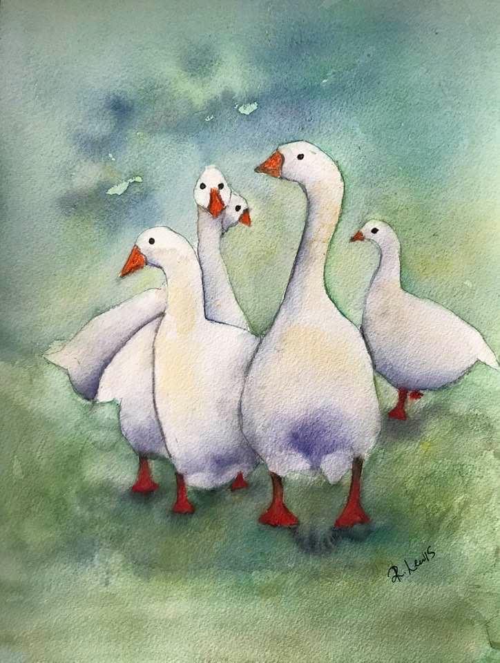 A Gaggle of Geese