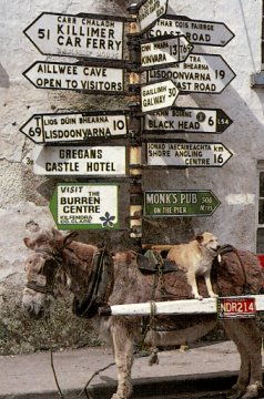 Image of signposts of places in County Clare with donkey in the foreground